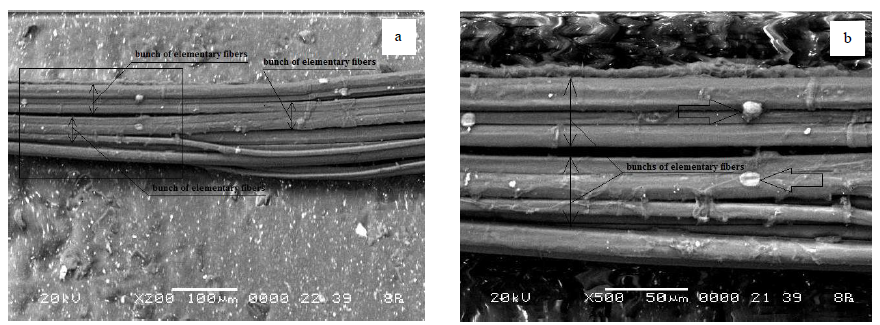 Электронная микроскопия льняного волокна: a - увеличение -200 раз, b - увеличение -500 раз